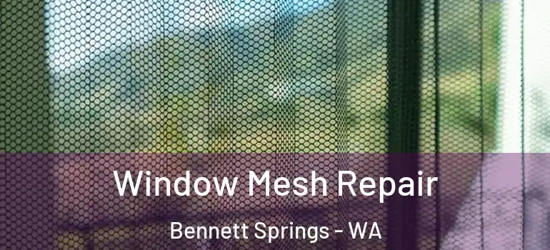 Window Mesh Repair Bennett Springs - WA