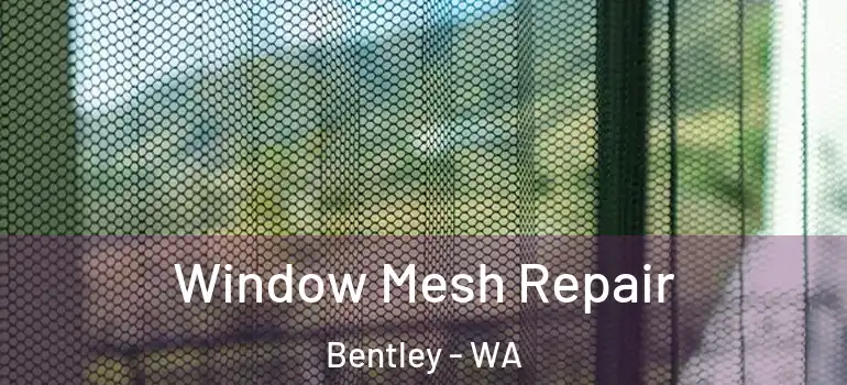 Window Mesh Repair Bentley - WA