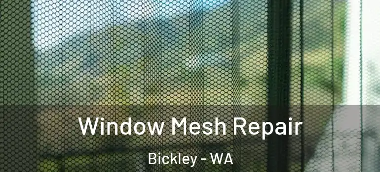  Window Mesh Repair Bickley - WA