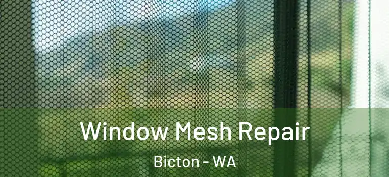  Window Mesh Repair Bicton - WA
