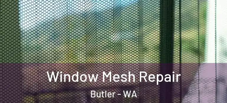 Window Mesh Repair Butler - WA