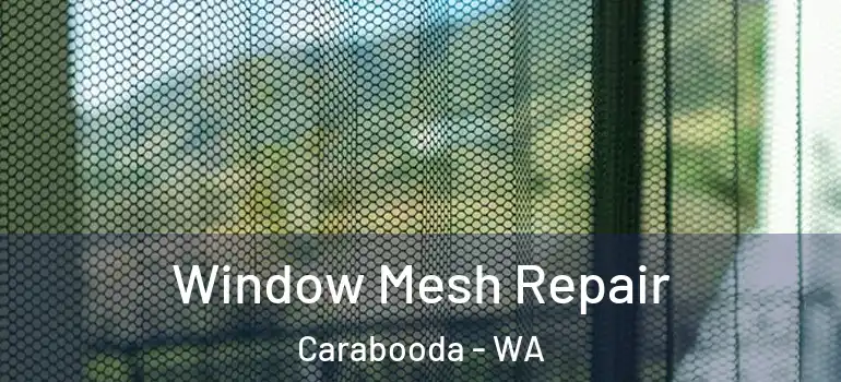  Window Mesh Repair Carabooda - WA