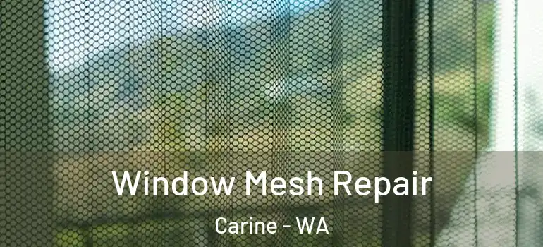 Window Mesh Repair Carine - WA