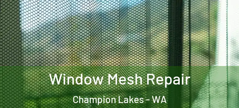  Window Mesh Repair Champion Lakes - WA