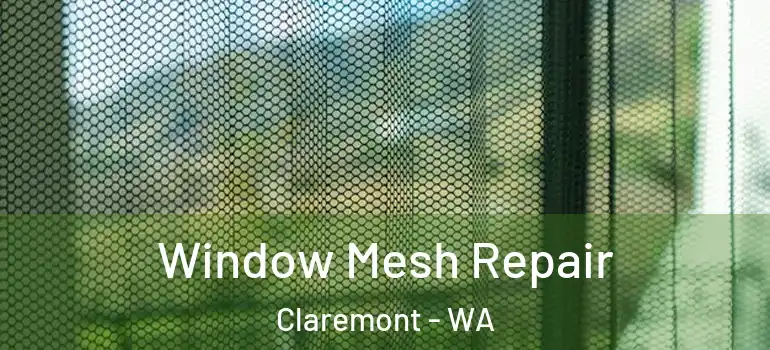 Window Mesh Repair Claremont - WA
