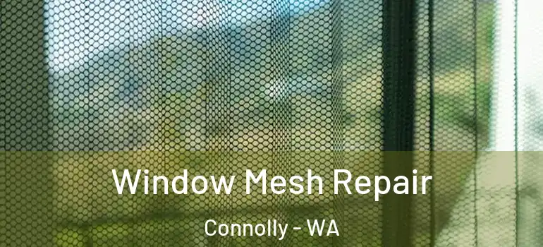  Window Mesh Repair Connolly - WA