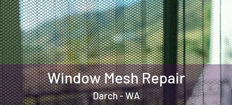  Window Mesh Repair Darch - WA