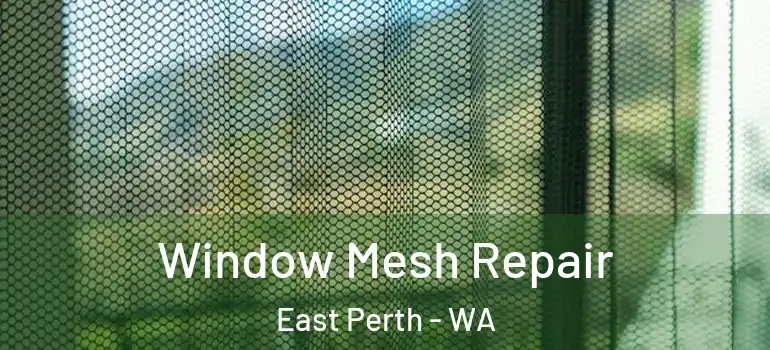  Window Mesh Repair East Perth - WA