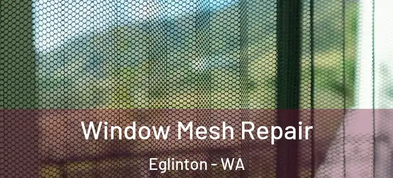 Window Mesh Repair Eglinton - WA