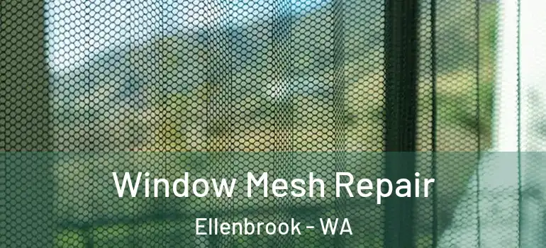  Window Mesh Repair Ellenbrook - WA