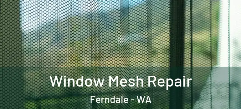  Window Mesh Repair Ferndale - WA