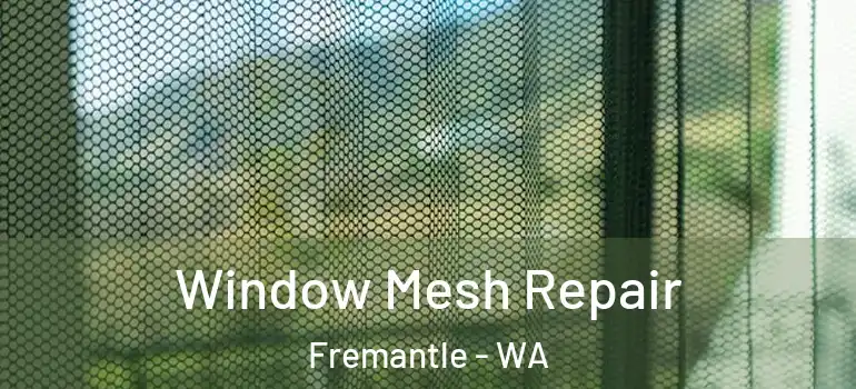 Window Mesh Repair Fremantle - WA