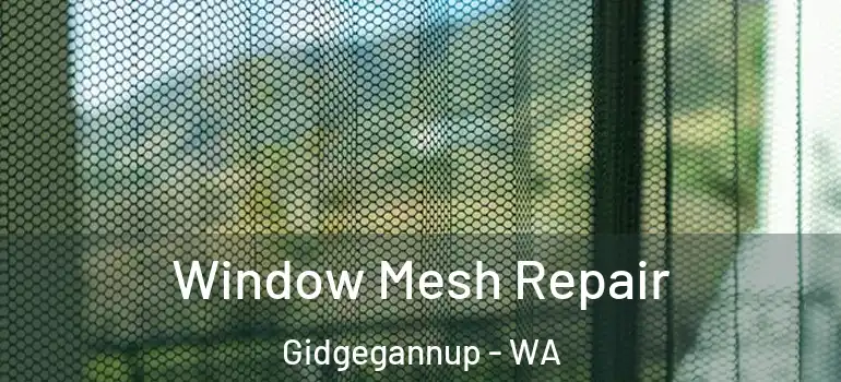  Window Mesh Repair Gidgegannup - WA