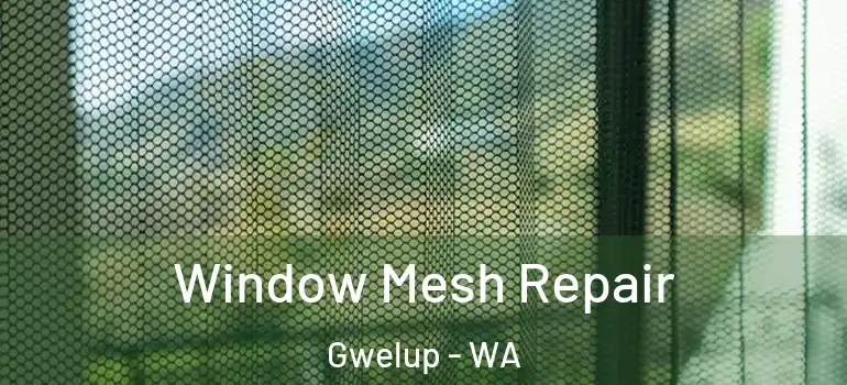  Window Mesh Repair Gwelup - WA