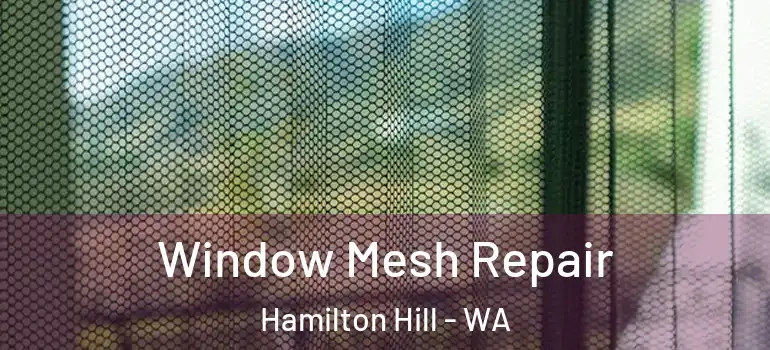 Window Mesh Repair Hamilton Hill - WA