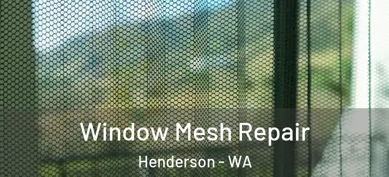  Window Mesh Repair Henderson - WA