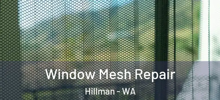 Window Mesh Repair Hillman - WA