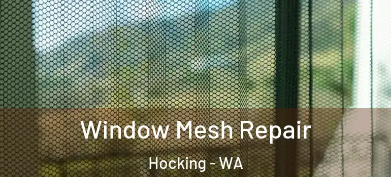Window Mesh Repair Hocking - WA