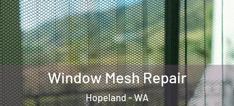  Window Mesh Repair Hopeland - WA