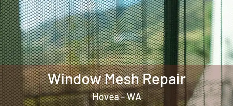  Window Mesh Repair Hovea - WA