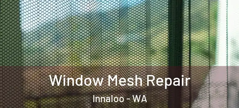 Window Mesh Repair Innaloo - WA