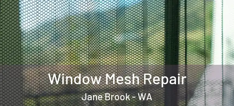  Window Mesh Repair Jane Brook - WA
