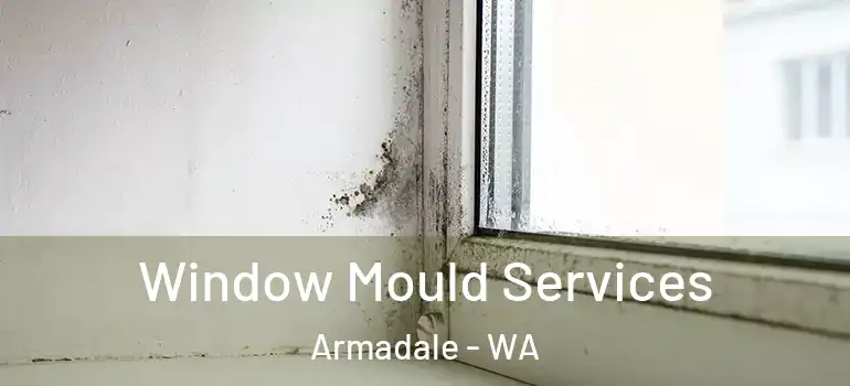  Window Mould Services Armadale - WA