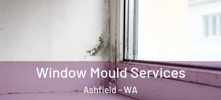 Window Mould Services Ashfield - WA