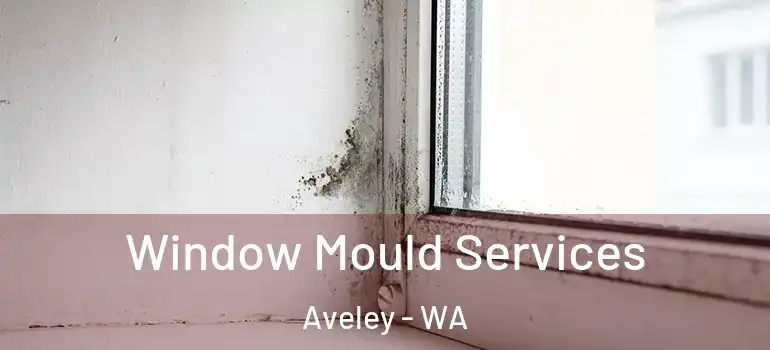  Window Mould Services Aveley - WA