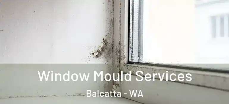 Window Mould Services Balcatta - WA