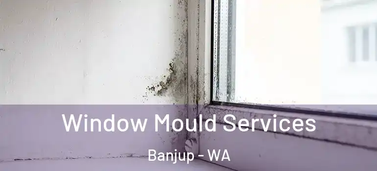 Window Mould Services Banjup - WA