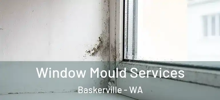  Window Mould Services Baskerville - WA