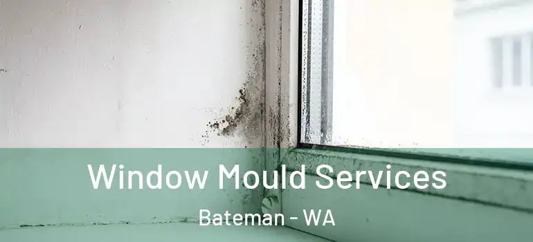 Window Mould Services Bateman - WA
