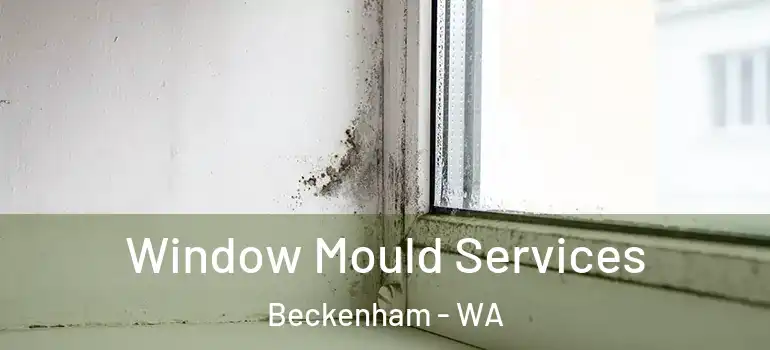Window Mould Services Beckenham - WA