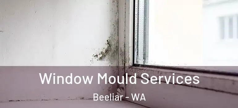  Window Mould Services Beeliar - WA