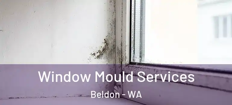  Window Mould Services Beldon - WA