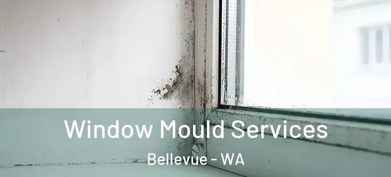 Window Mould Services Bellevue - WA