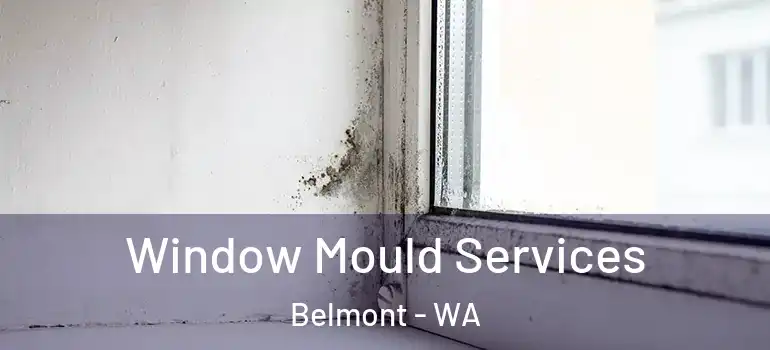  Window Mould Services Belmont - WA