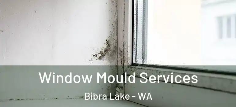 Window Mould Services Bibra Lake - WA