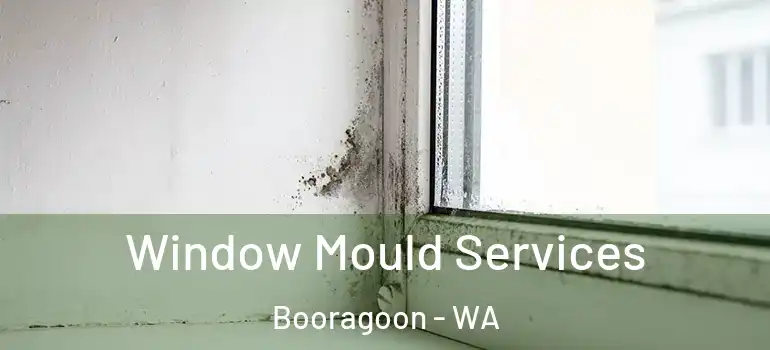  Window Mould Services Booragoon - WA