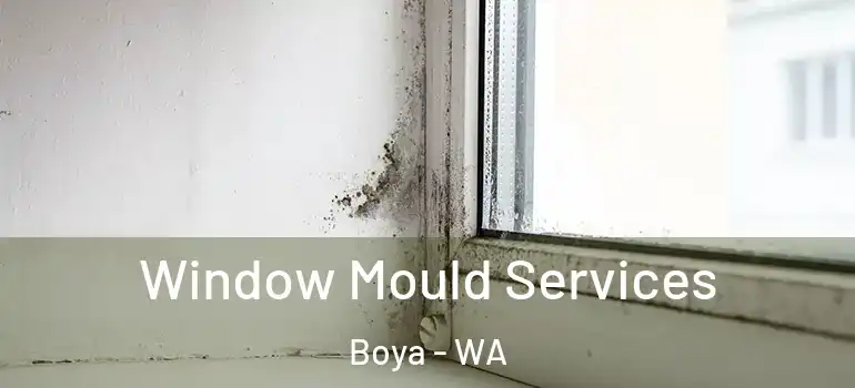 Window Mould Services Boya - WA