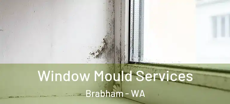 Window Mould Services Brabham - WA