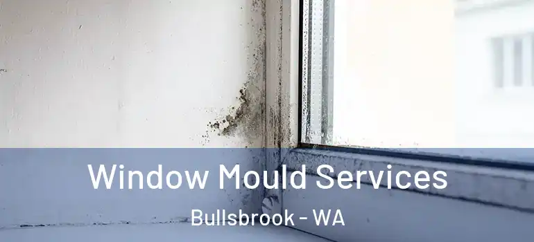 Window Mould Services Bullsbrook - WA