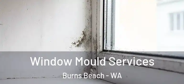 Window Mould Services Burns Beach - WA