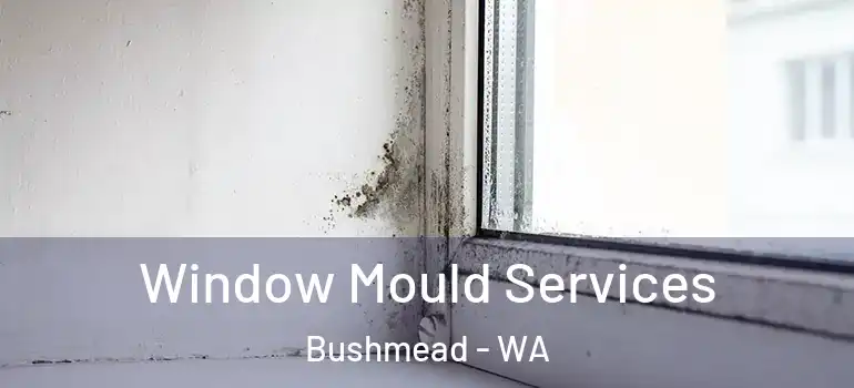 Window Mould Services Bushmead - WA