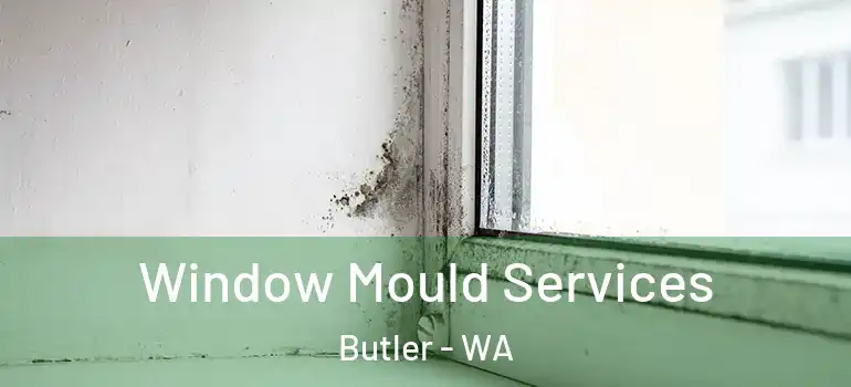 Window Mould Services Butler - WA