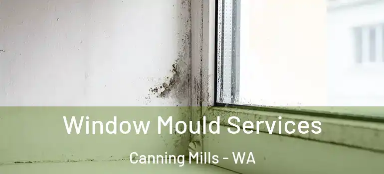 Window Mould Services Canning Mills - WA