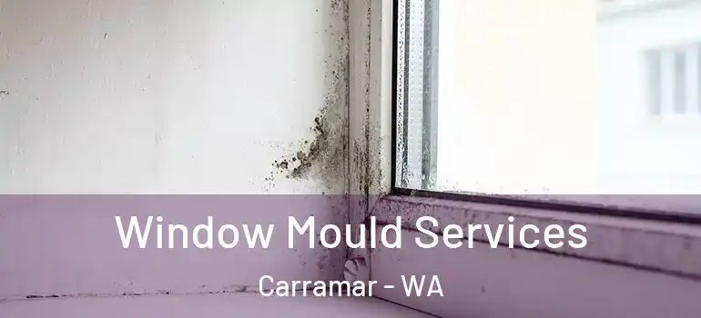 Window Mould Services Carramar - WA