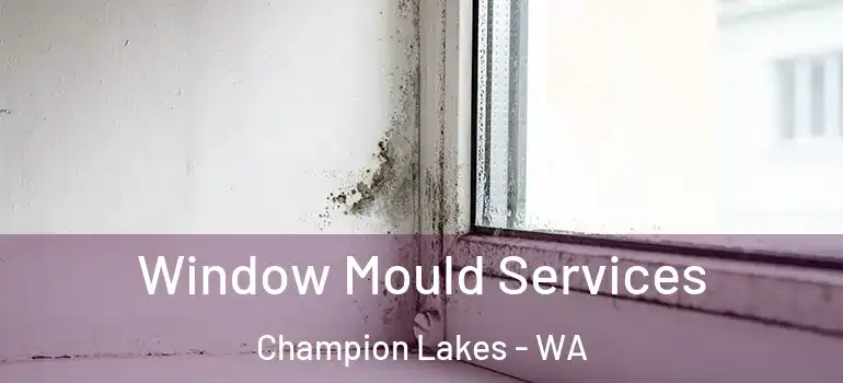 Window Mould Services Champion Lakes - WA