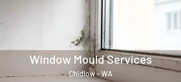 Window Mould Services Chidlow - WA